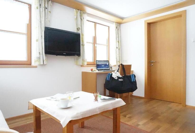 غرفة قياسية مطلة على الجبل, Haus Schwendinger