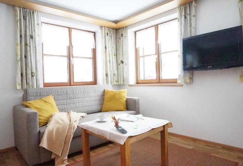 غرفة قياسية مطلة على الجبل, Haus Schwendinger