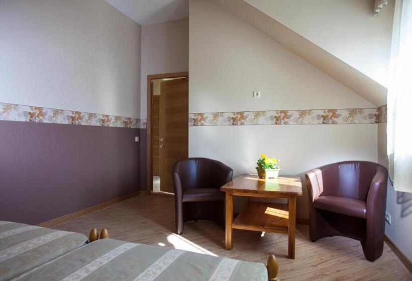 اتاق استاندارد با چشمانداز شهر, Liepas