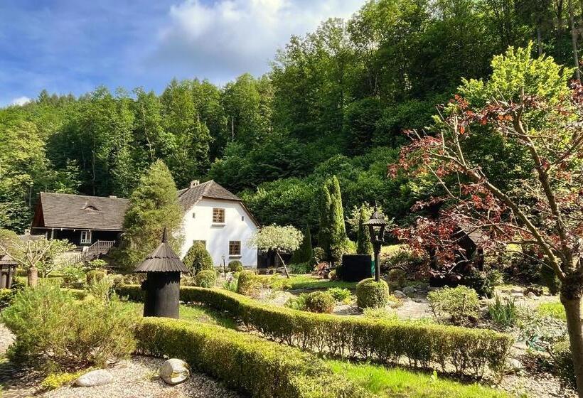 Номер Стандарт, Mlýn Kozlovice
