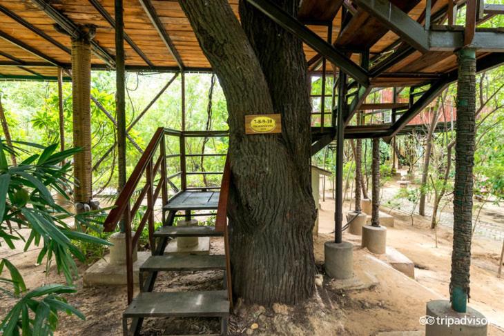 منزل غرفة نوم واحدة, The Tree House Resort