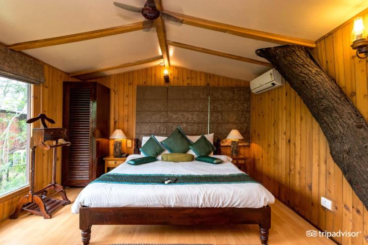 منزل غرفة نوم واحدة, The Tree House Resort