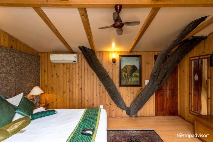 منزل غرفة نوم واحدة, The Tree House Resort
