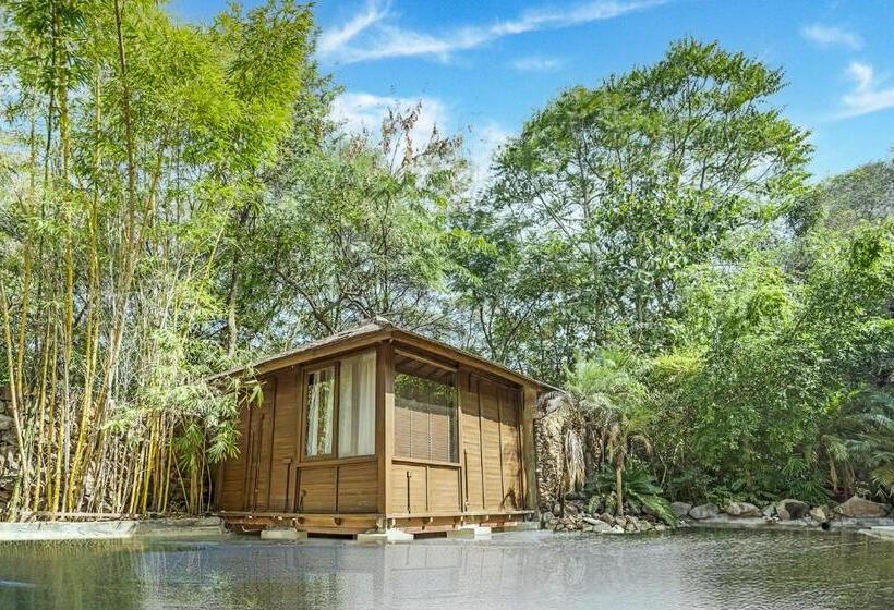 فيلا ديلوكس غرفة نوم, The Tree House Resort