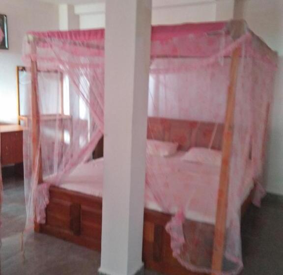 베이직 3인 룸, Old Town