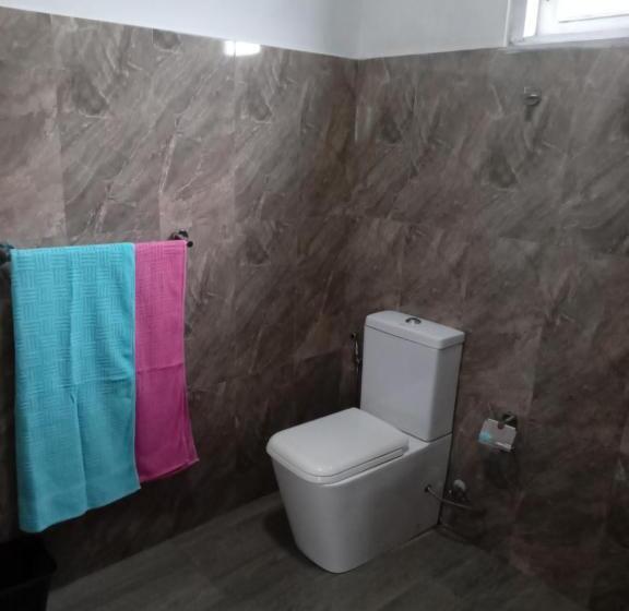 베이직 3인 룸, Old Town