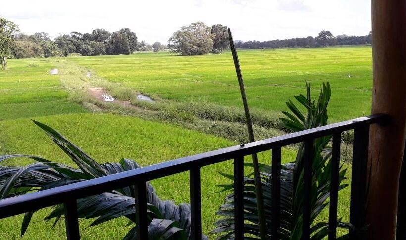 Quarto Triplo Standart, Keth Hala