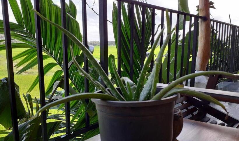 Quarto Familiar, Keth Hala