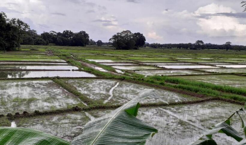 Quarto Triplo Standart, Keth Hala