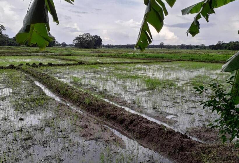 Quarto Triplo Standart, Keth Hala