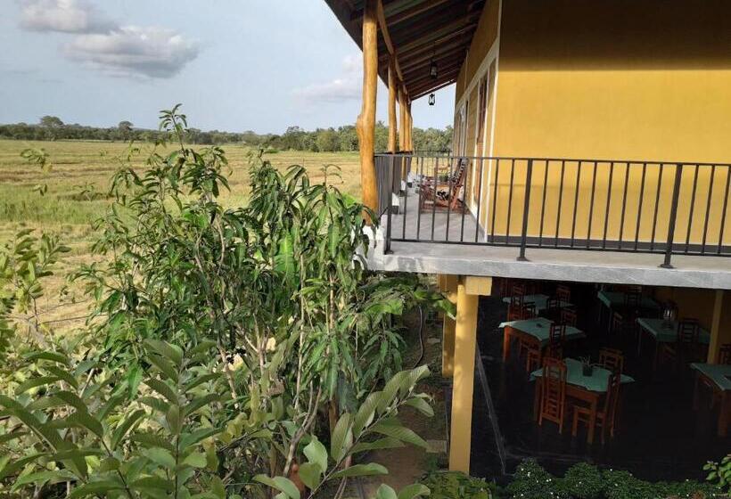 Quarto Triplo Standart, Keth Hala