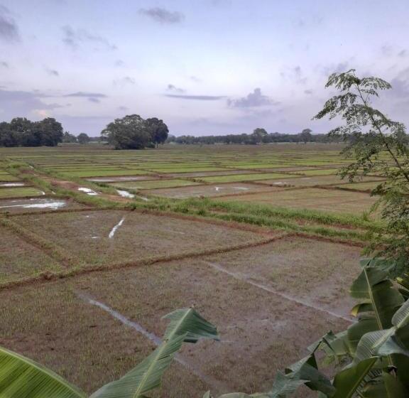 Quarto Triplo Standart, Keth Hala