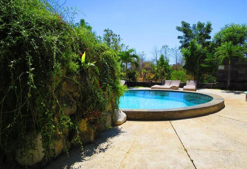 בונגלו משפחתי, Bunga Laut Bungalow