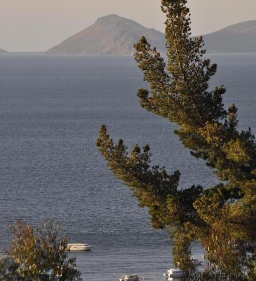 اتاق استاندارد, Hostal Piedra Andina