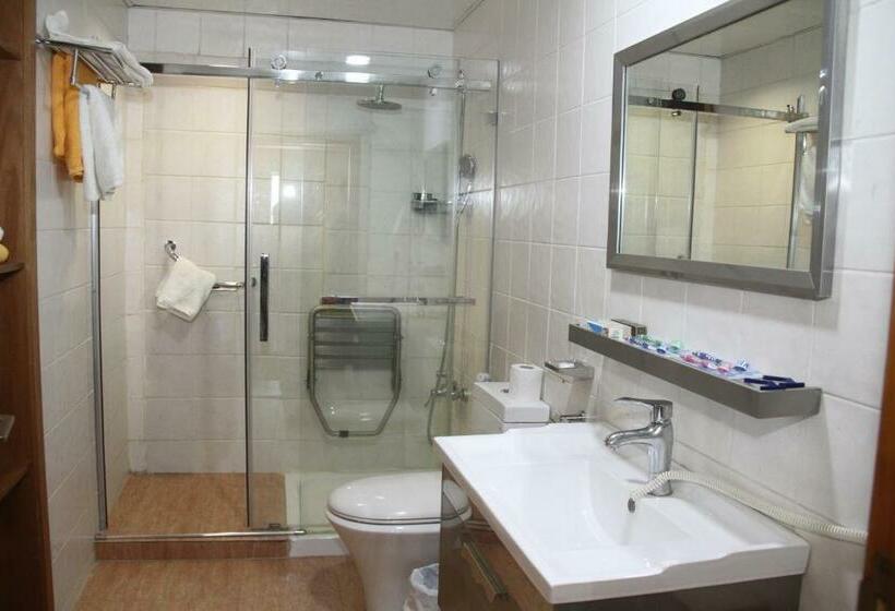 اتاق استاندارد یک نفره, Saleem Afandi