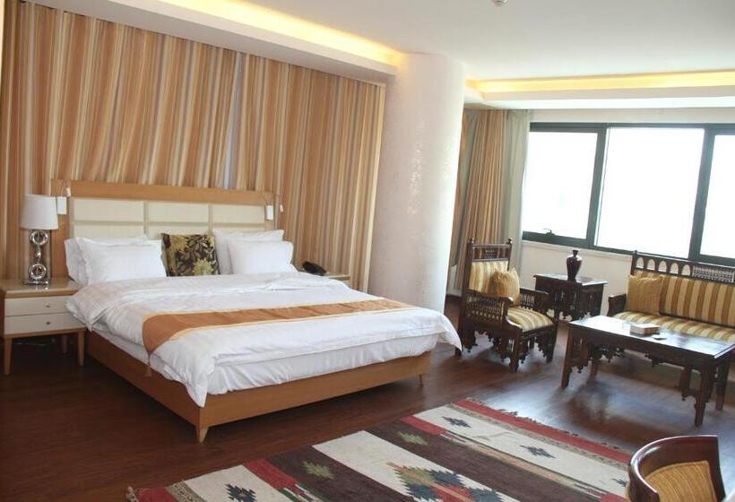 اتاق استاندارد, Saleem Afandi