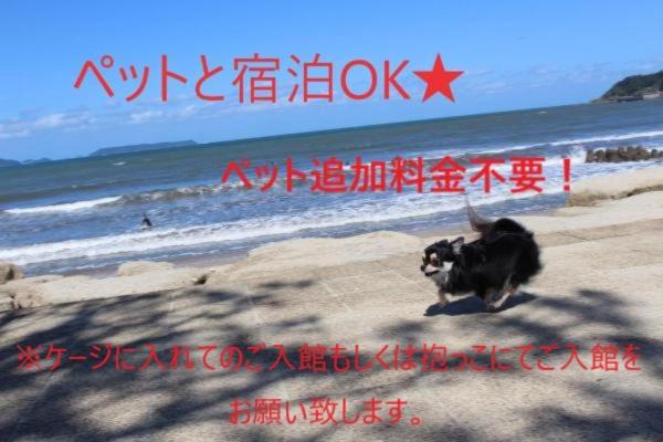 Номер Стандарт Вид на Море, Sea Style Resort Ocean