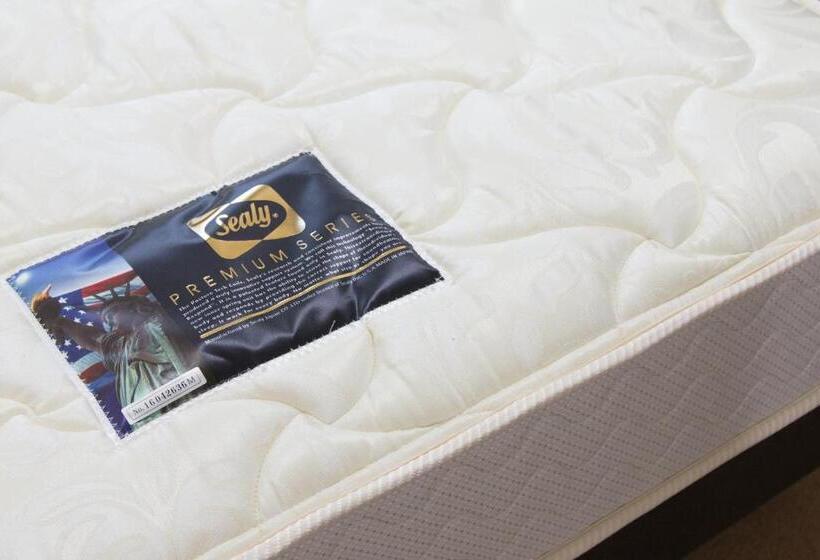 חדר סטנדרט יחיד, Wakamatsu Excel