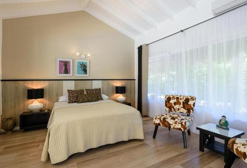 اتاق لوکس, Adults Only Hacienda Terra Taina