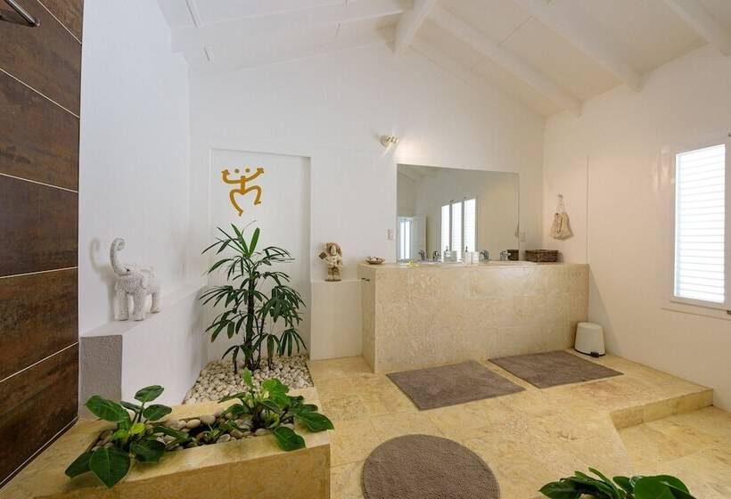 اتاق سوپریور, Adults Only Hacienda Terra Taina