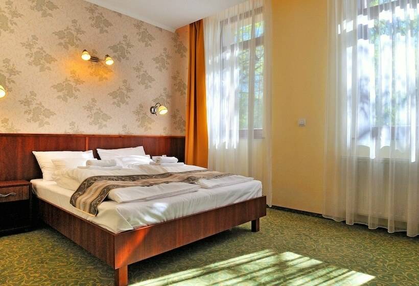 חדר סטנדרט, Partium Hotel Szeged