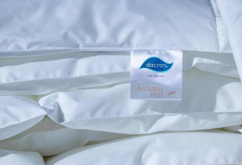 景色の見える一ベッドルームアパートメント, Starry