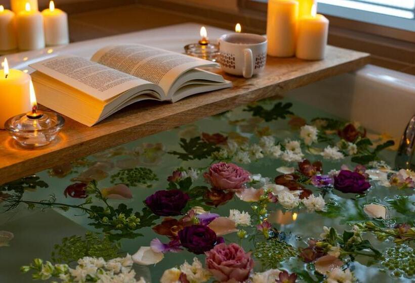 景色の見える一ベッドルームアパートメント, Starry