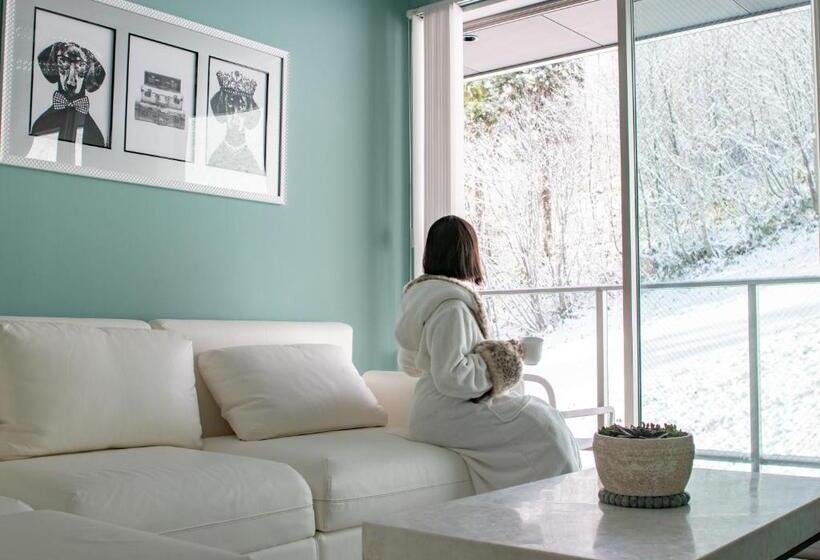 景色の見える一ベッドルームアパートメント, Starry