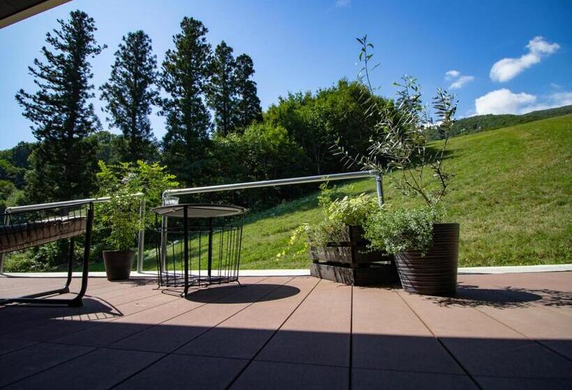 景色の見える一ベッドルームアパートメント, Starry