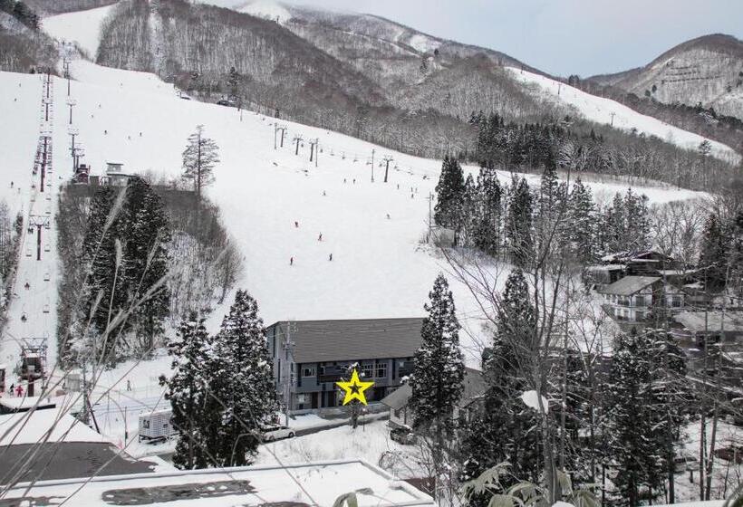 スタンダードスタジオ, Starry