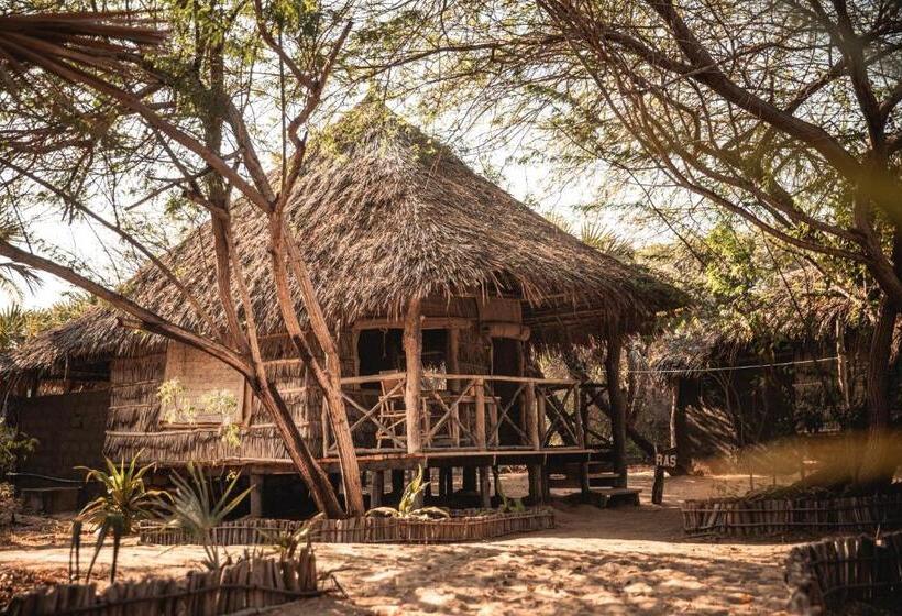 اتاق استاندارد, Che Shale