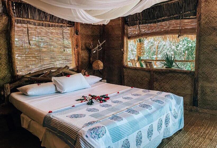 اتاق استاندارد, Che Shale