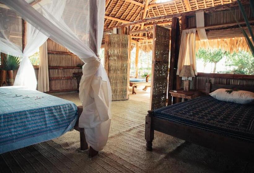 اتاق استاندارد, Che Shale