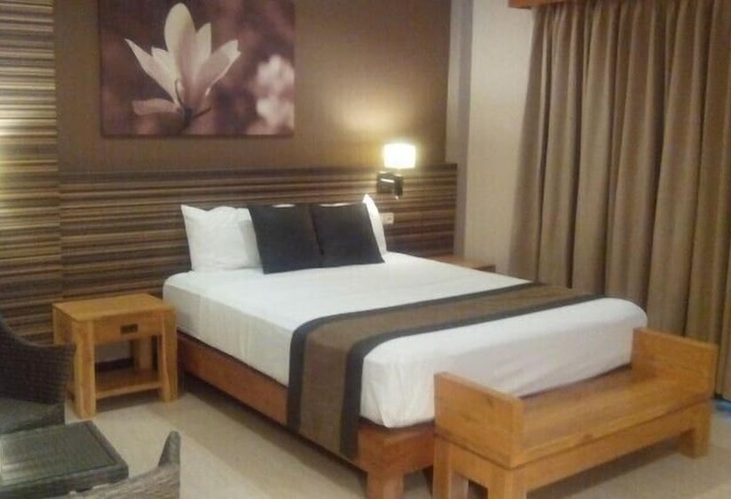 Habitació Estàndard, Colibri