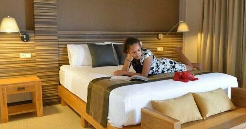 Habitació Estàndard, Colibri