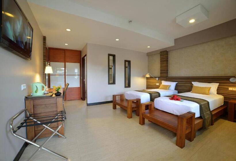 Habitació Estàndard, Colibri