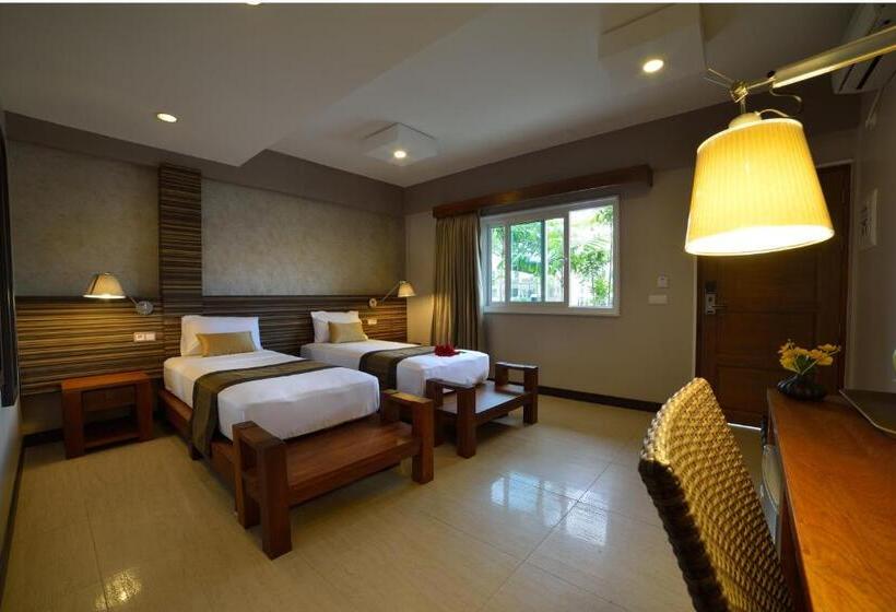 Habitació Estàndard, Colibri