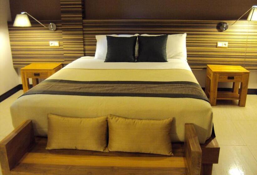 Habitació Estàndard, Colibri