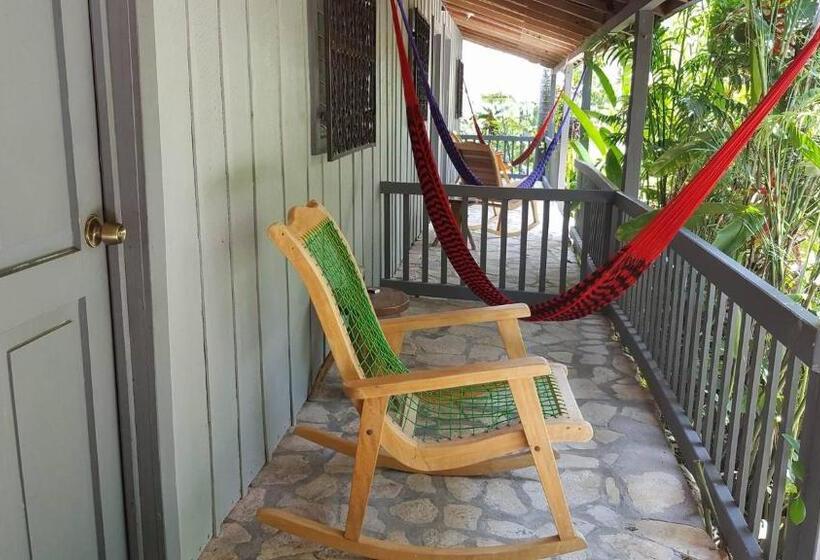 اتاق استاندارد با 2 تخت دوبل, La Casa De Don David