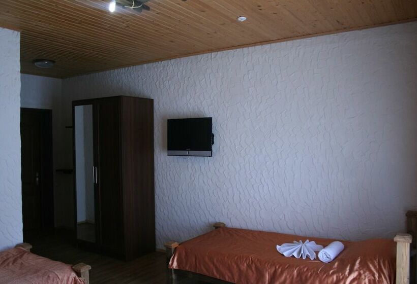 Quarto Triplo Standart, Shulc