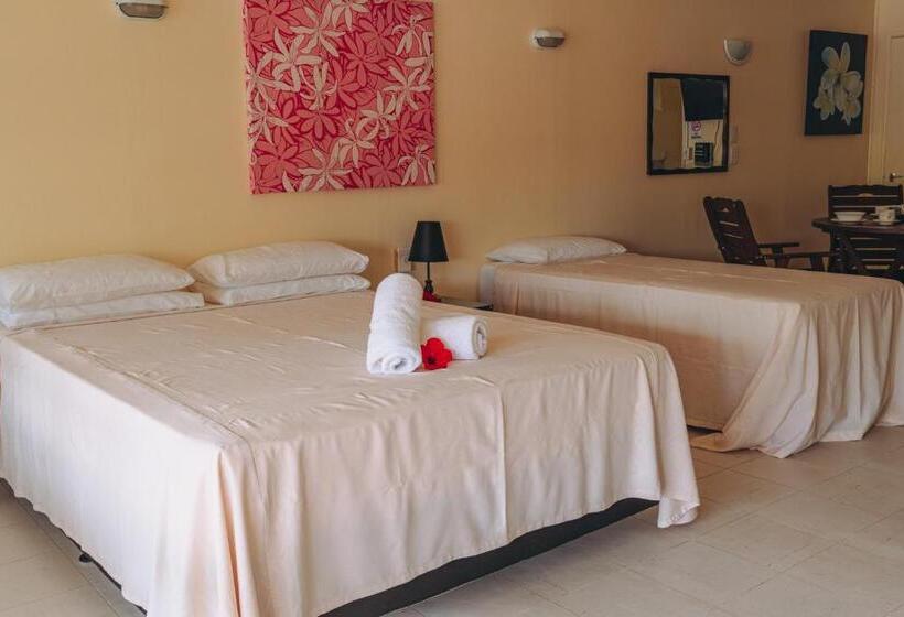 اتاق استاندارد با چشمانداز استخر, Kiikii Inn & Suites