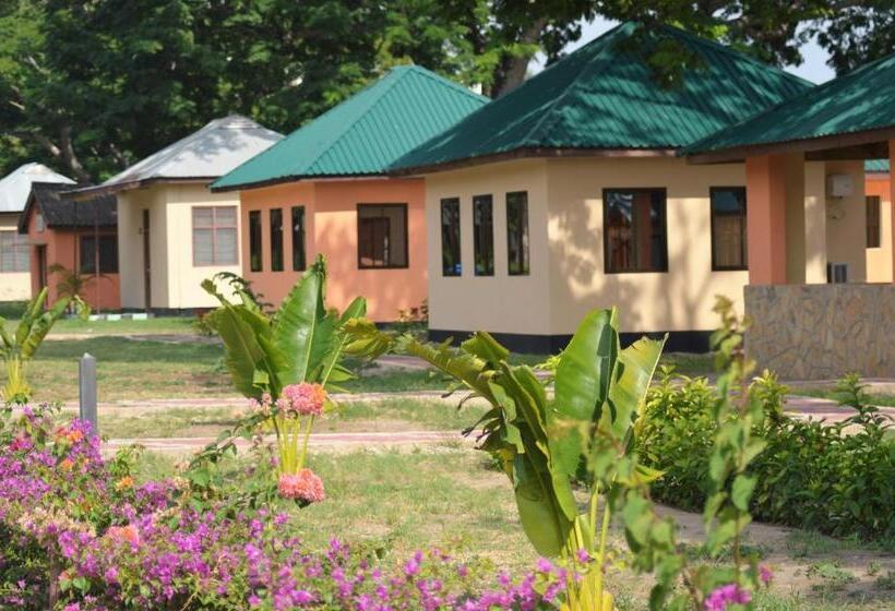 اتاق لوکس, Mgulani Lodge