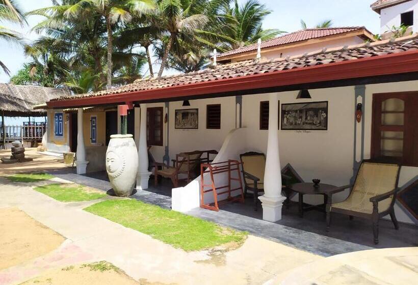 이코노미 룸, Janus Paradise Rest