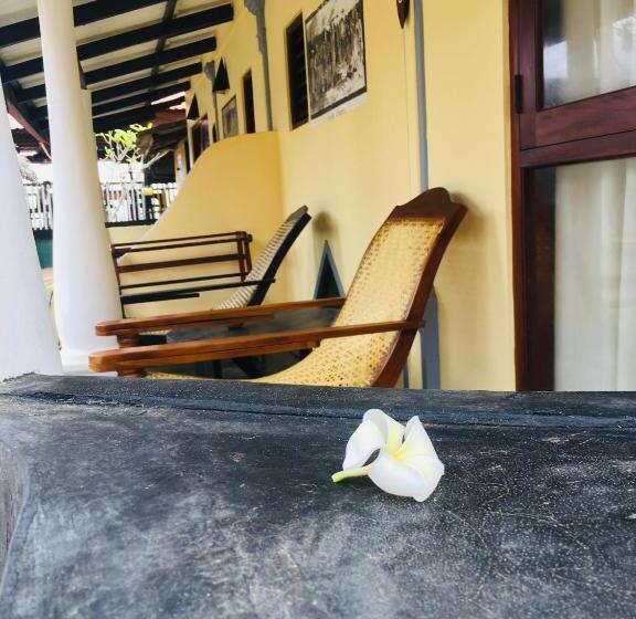 이코노미 룸, Janus Paradise Rest