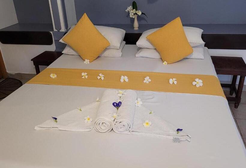 이코노미 룸, Janus Paradise Rest