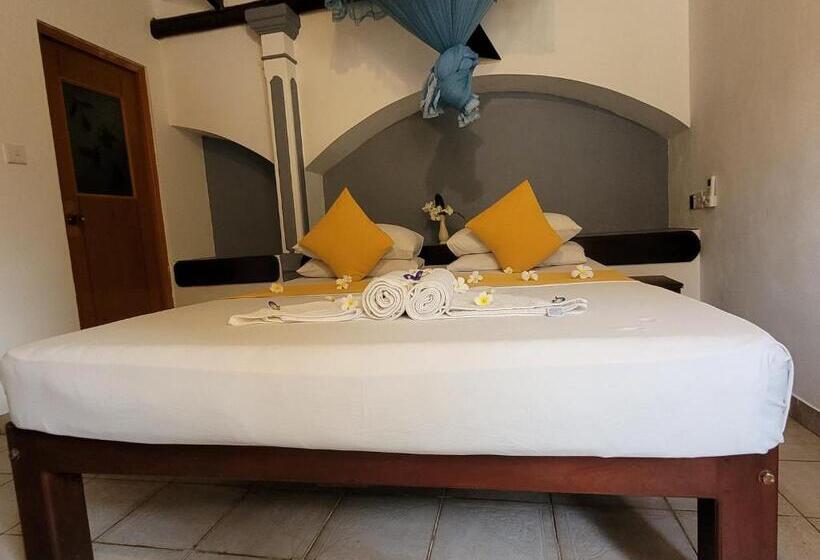 이코노미 룸, Janus Paradise Rest