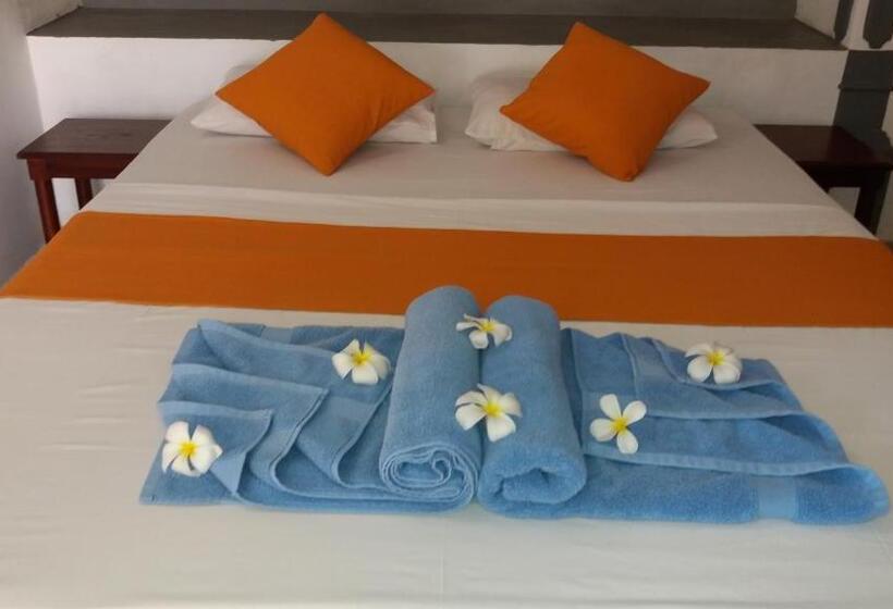 이코노미 룸, Janus Paradise Rest