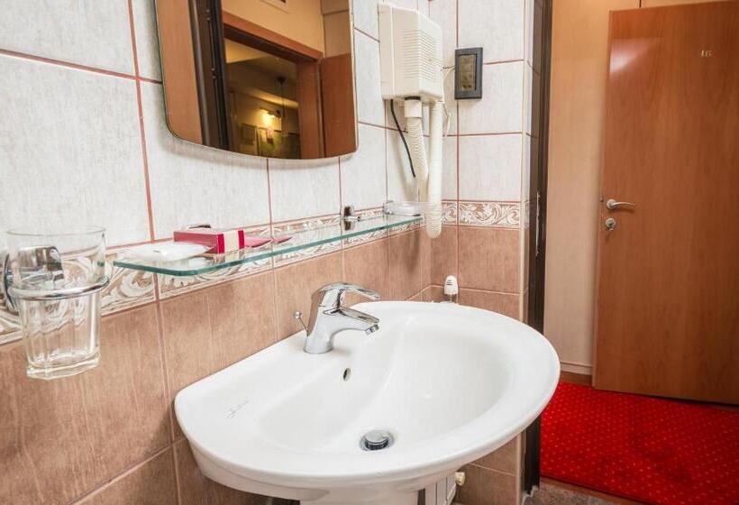 اتاق سوپریور, Pelister Skopje