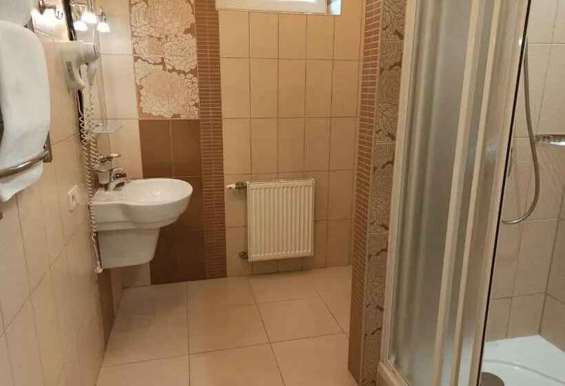 Cameră Standard, Status