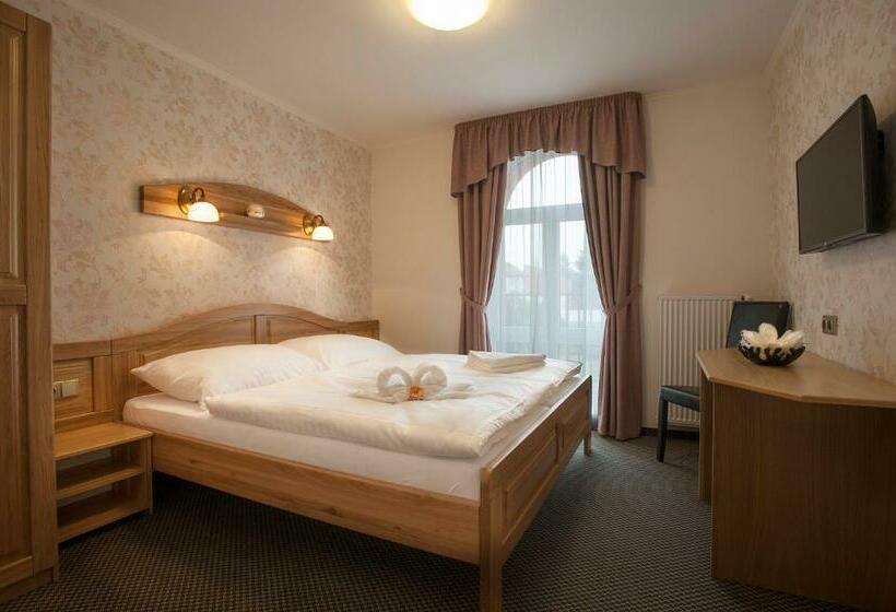 Номер Стандарт Индивидуальный, Spa Hotel Millenium Karlovy Vary